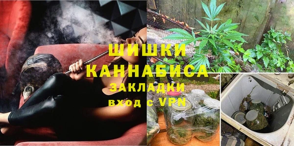 ГАЛЛЮЦИНОГЕННЫЕ ГРИБЫ Алексеевка