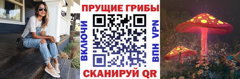 купить  цена  гидра зеркало  Псилоцибиновые грибы Magic Shrooms  Пласт 